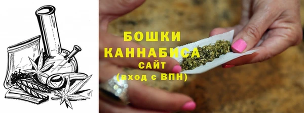 гидропоника Бородино