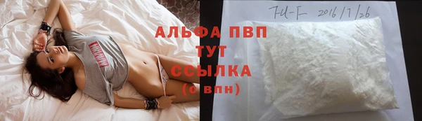 гидропоника Бородино