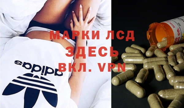 гидропоника Бородино