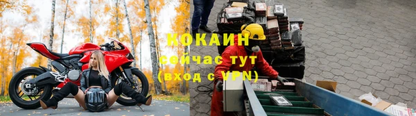 гидропоника Бородино