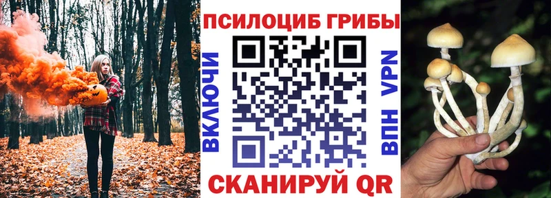 Купить где  Дигора  Псилоцибиновые грибы ЛСД 